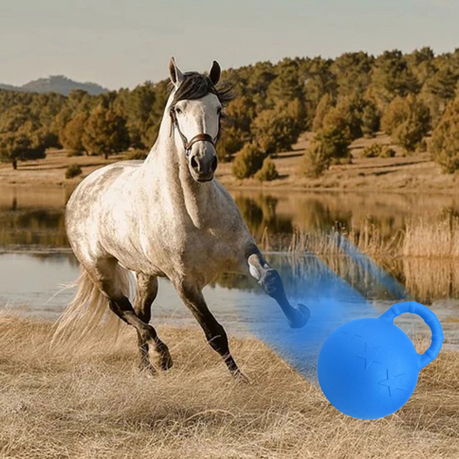 ม้าสุนัขยางม้า Chew Ball กลางแจ้ง Inflatable Ball ของเล่น Herding Ball Agility การฝึกอบรมทนทานทางกายภาพกิจกรรม Big Ball