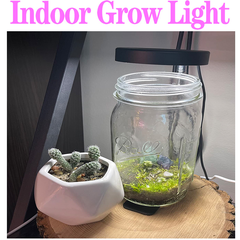 Lampe horticole de croissance LED USB, éclairage hydroponique pour croissance de plantes, fleurs et semis