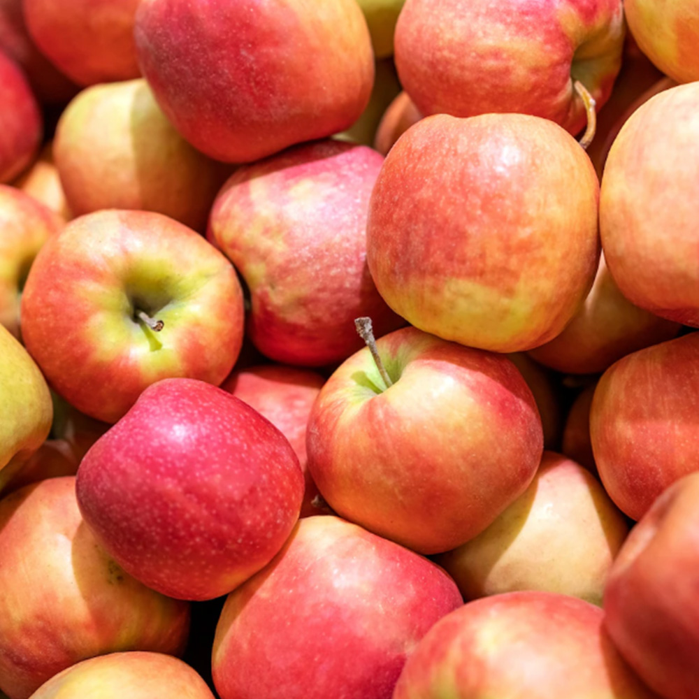 사과 부사 사과 3kg/5kg 사과 가정용