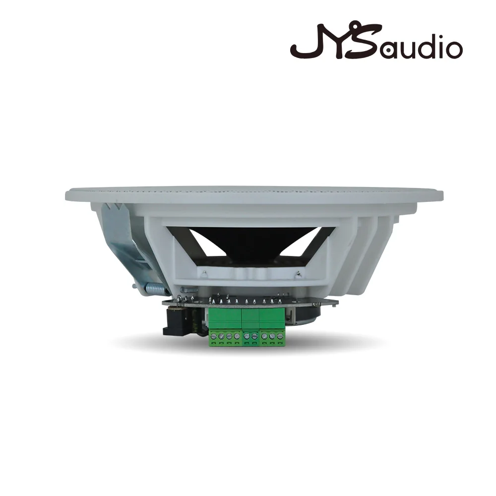 Active 6.5 Inch Bluetooth Ceiling Speaker Build Digital Class D Amplifier HiFi Stereo Loudspeaker Home Theater Music for Hotel