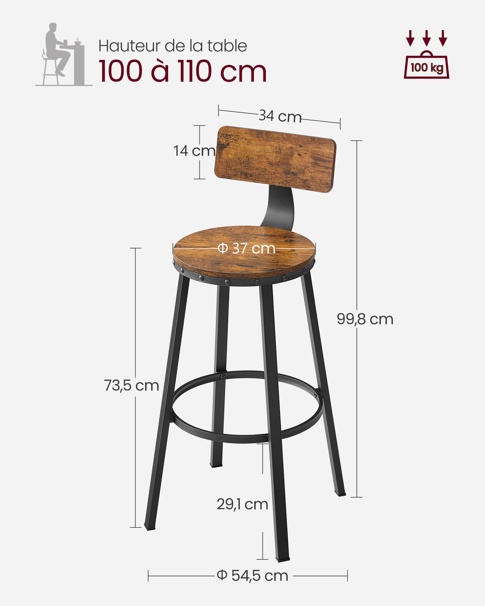 Tabouret Bar Industriel, Lot de 2, Chaises Bar Cuisine, avec Dossier, Cadre en Acier, Siège 73,5 cm de Haut, Montage Facile, Style Industriel