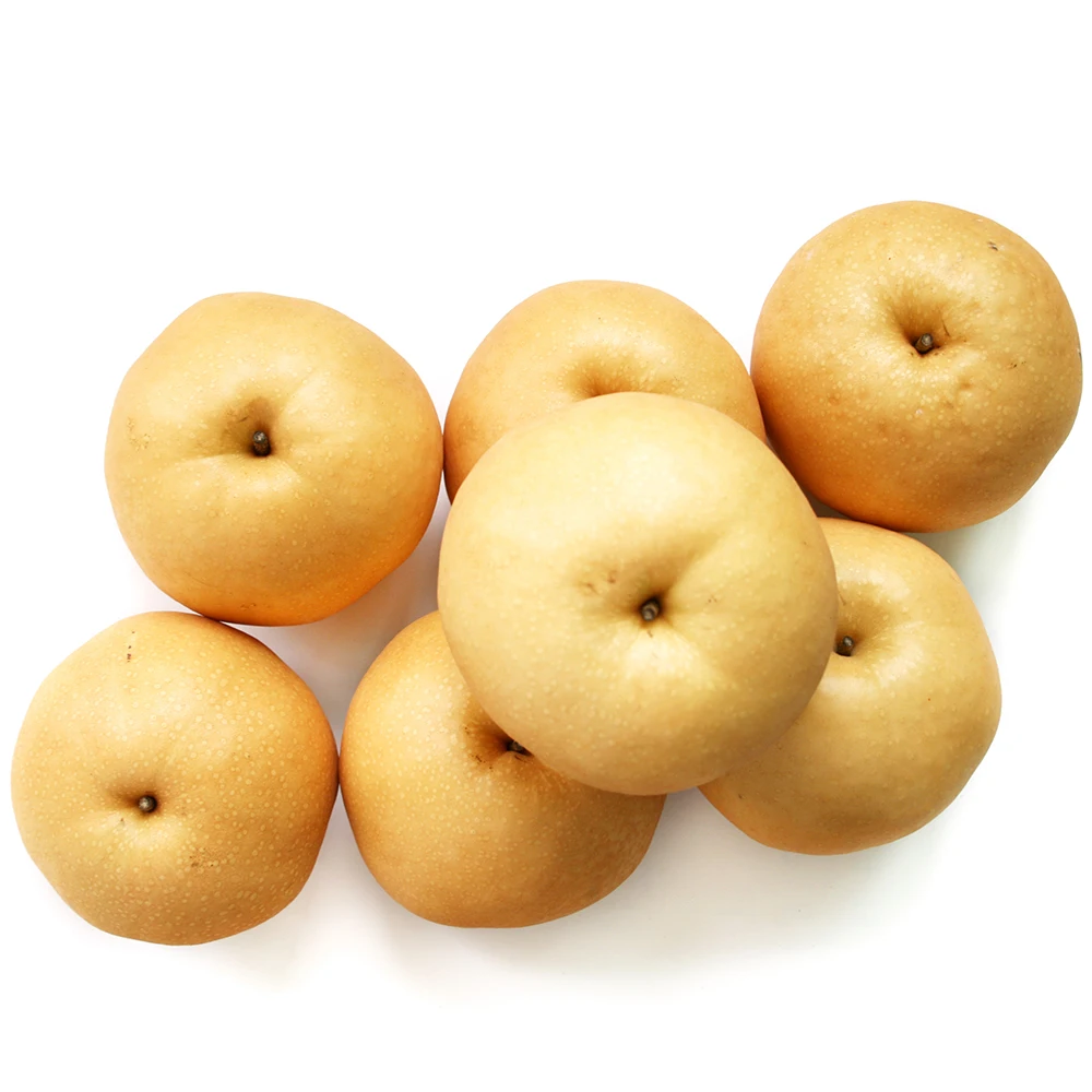 나주배 가정용(못난이) 2.5kg ,3kg, 5kg, 7.5kg