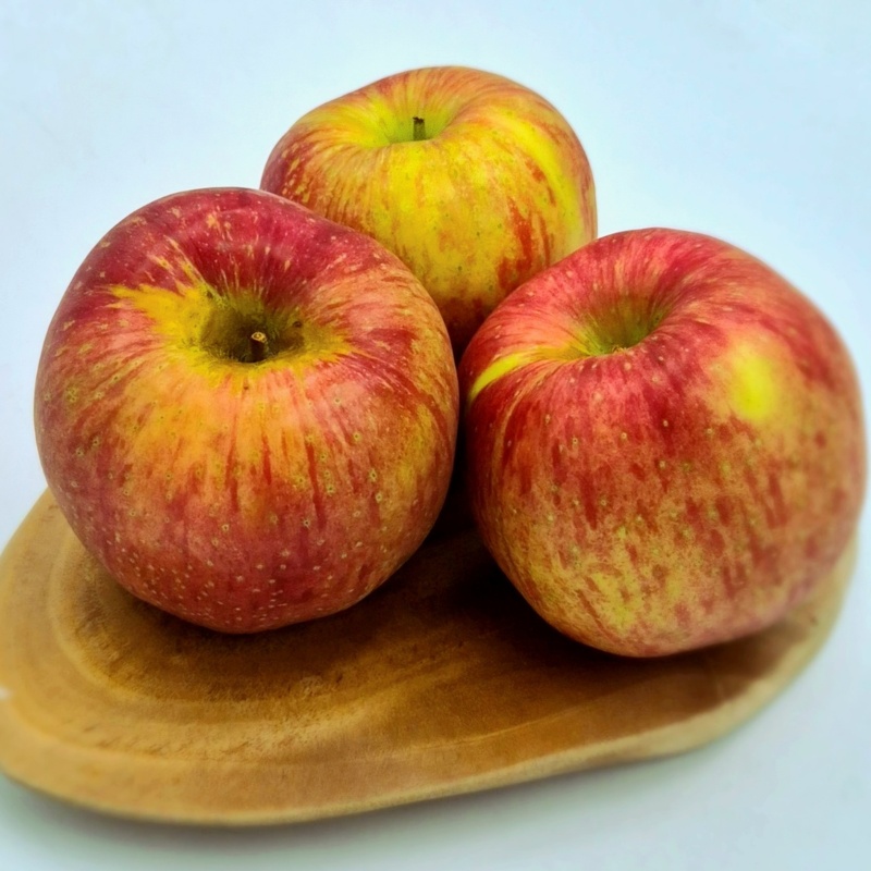 제철경북사과 2kg /2개 구매시  500g추가증정 외 세척사과 2kg