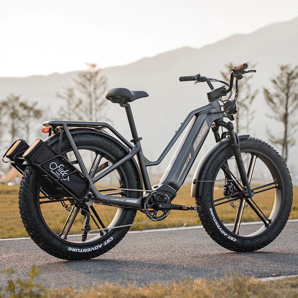 NIEUW AANKOMEN FIIDO TITAN FAT TIRE TOURING EBIKE-LONG RANGE.