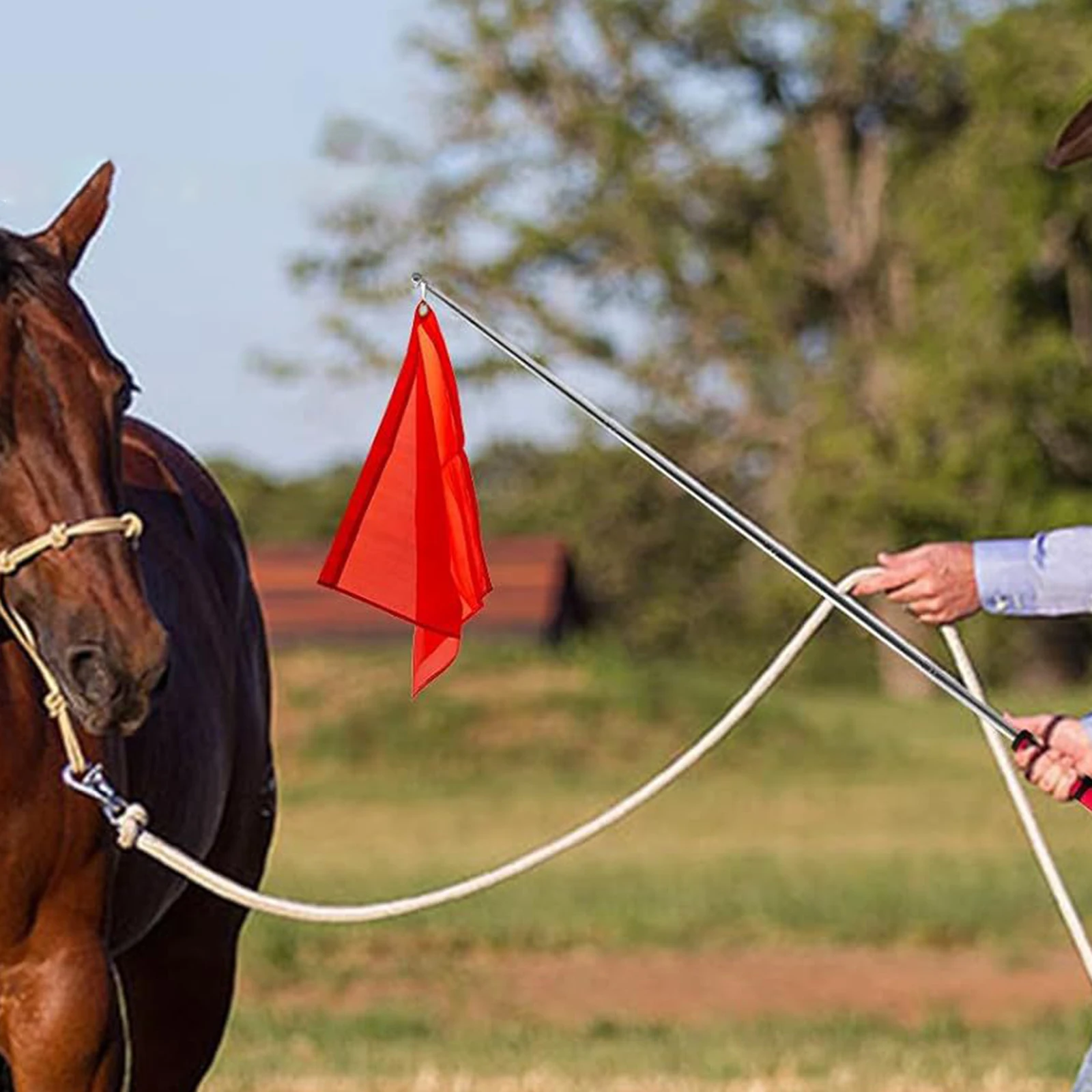 Bandiere per allenamento per cavalli da 1 PC con aste telescopiche Bandiere per allenamento equestre portatili in nylon Attrezzatura per allenamento per cavalli