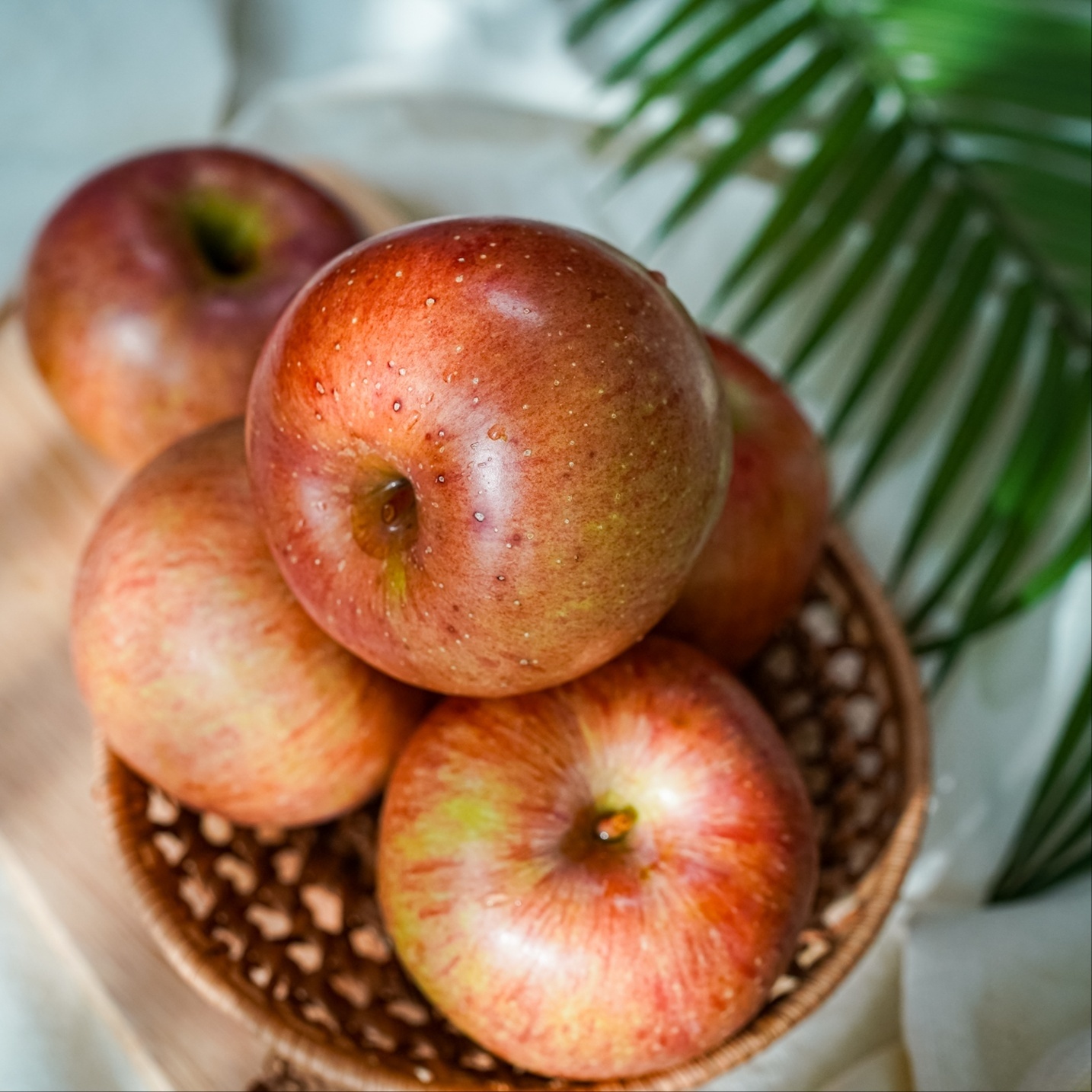 제철경북사과 2kg /2개 구매시  500g추가증정 외 세척사과 2kg