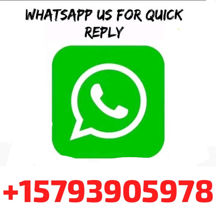 ENVIO RÁPIDO DUALTRON MAN EX+