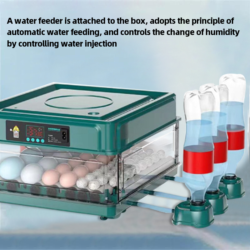 Seeiswork36 Eieren Incubator Met Lade Type Eierincubator Met Automatische Water Ionische Waterbed Aanvulling En Temperatuurregeling