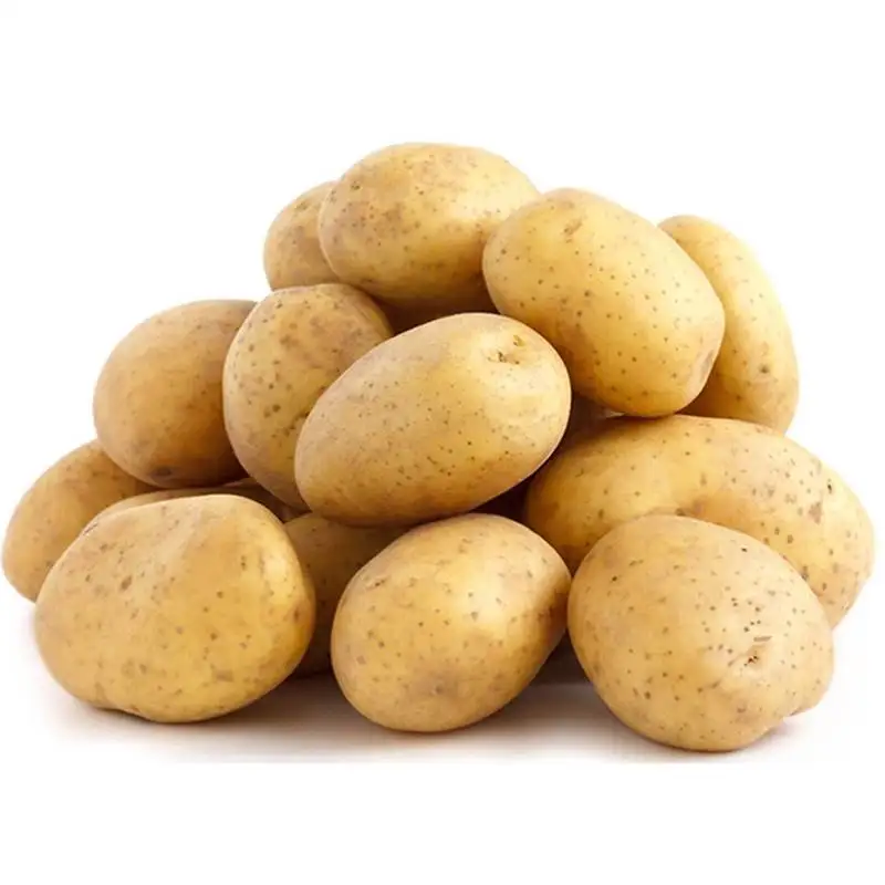 국내산 햇감자 (중) 2kg 부터 포슬포슬 우리감자 국민간식 땅속의사과