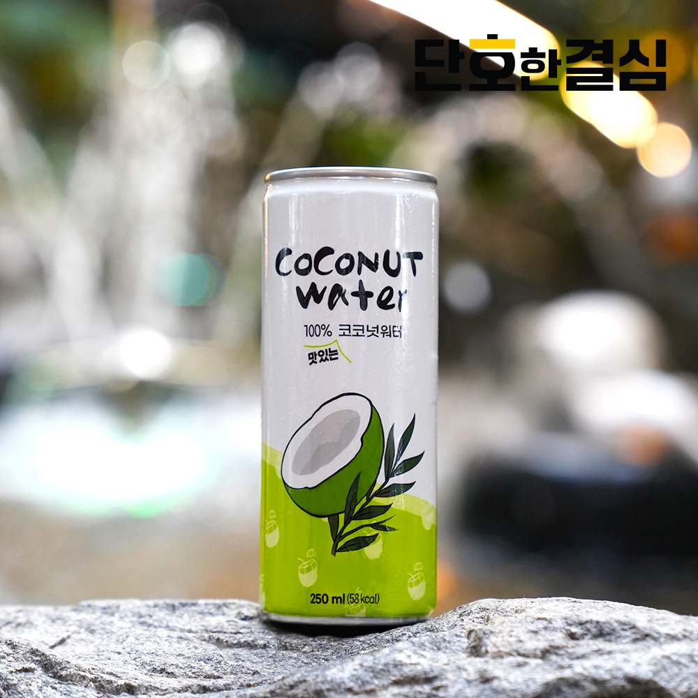 단호한결심 코코넛워터 100% NFC 전해질 충전 코코넛 음료