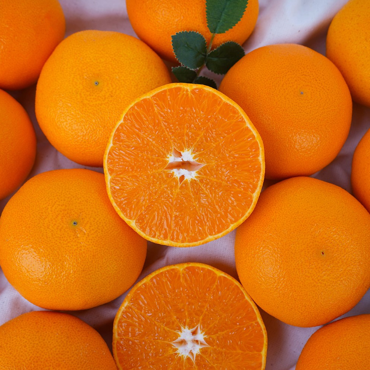 ★★[제주땡큐베리팜]제주도 한라봉 레드향 천혜향 노지감귤 2kg 3kg 5kg