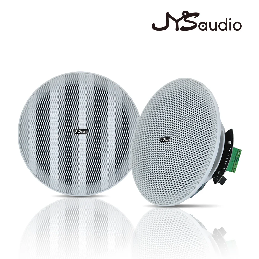 Active 6.5 Inch Bluetooth Ceiling Speaker Build Digital Class D Amplifier HiFi Stereo Loudspeaker Home Theater Music for Hotel