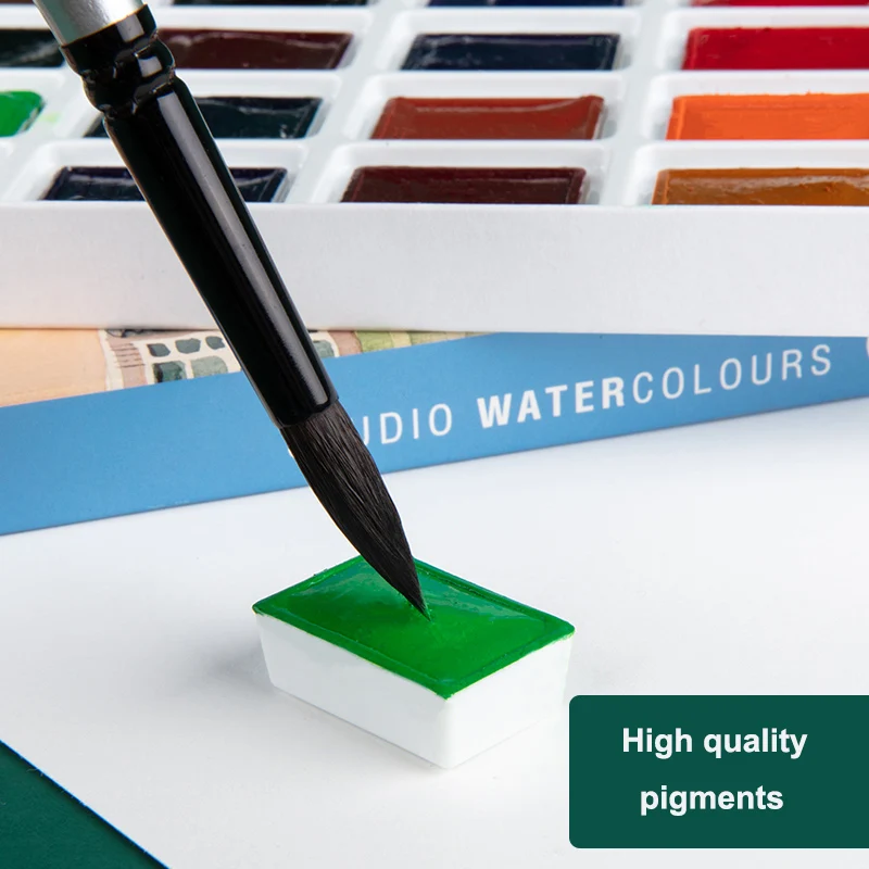 White Nights Sonnet Artists Set di colori per acquerelli 16/24 colori vivaci e vivaci Pentole complete da 2,5 ml in scatola di cartone Made in Russia