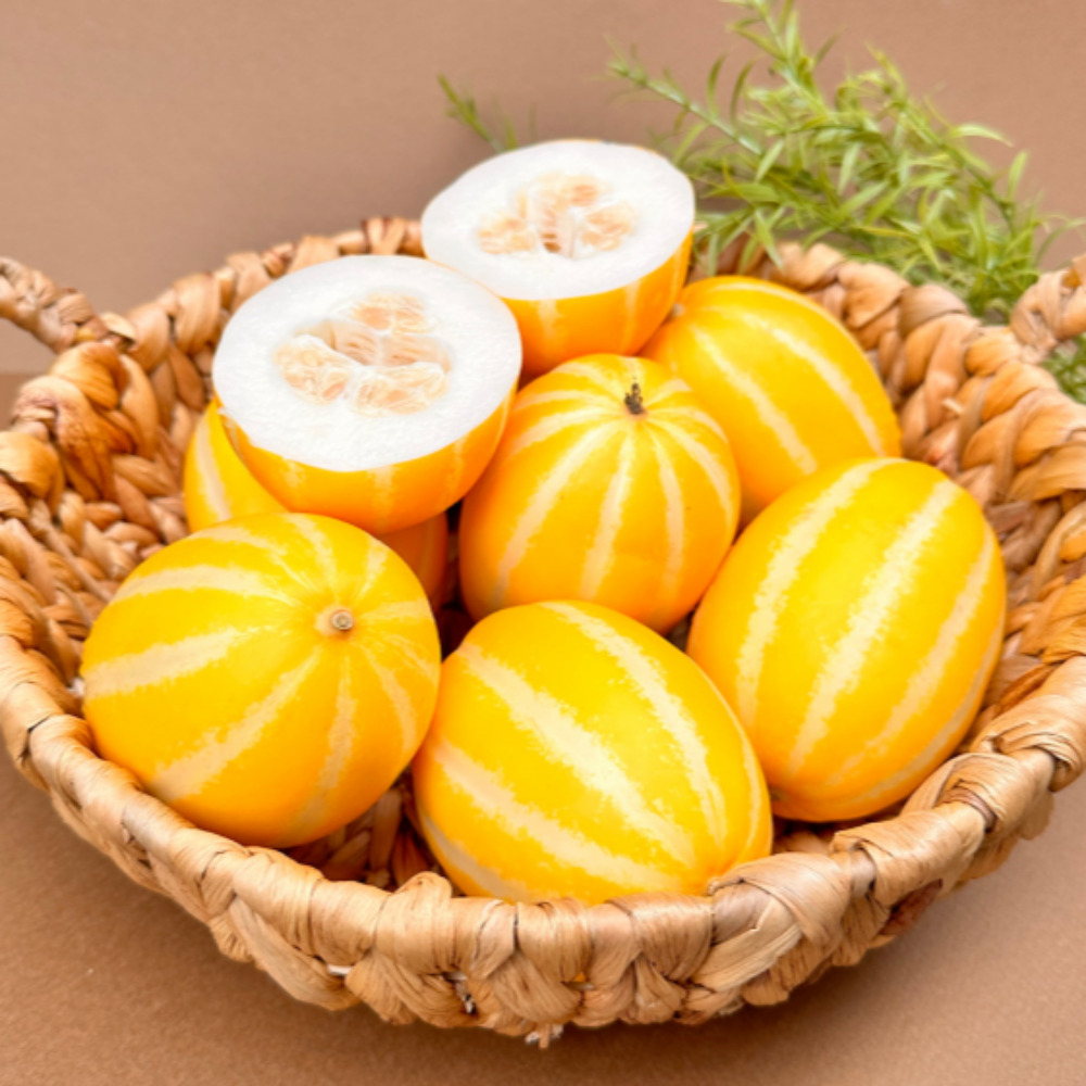 [천억페스타] 성주 못난이 참외 경북 꿀 참외 5kg