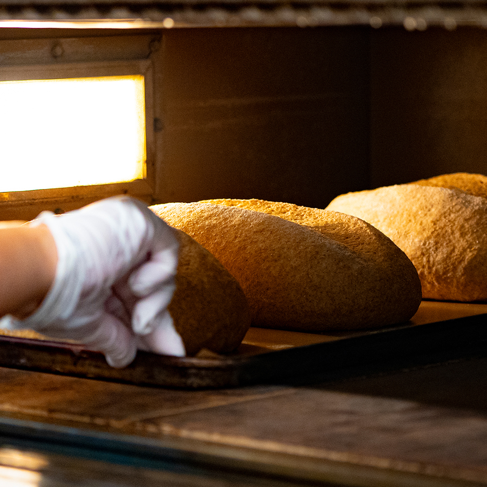 홀위트데이 100% 통밀빵 당일생산 식사대용 식빵 모닝빵