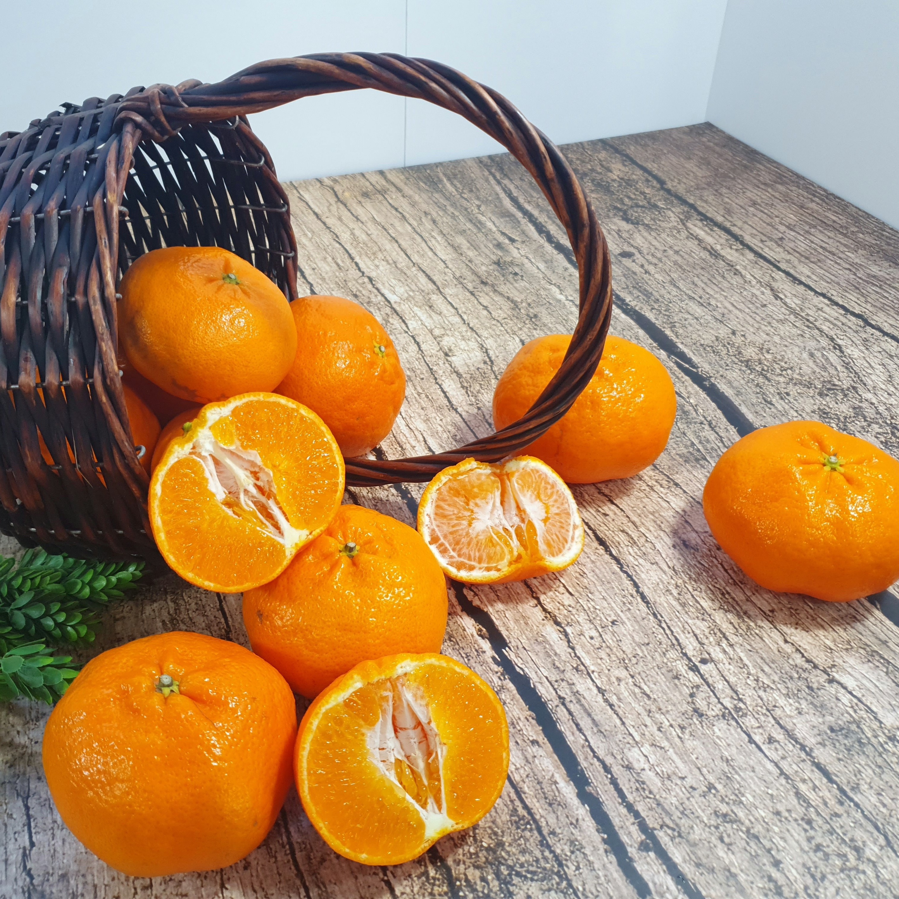 ★★[제주땡큐베리팜]제주도 한라봉 레드향 천혜향 노지감귤 2kg 3kg 5kg