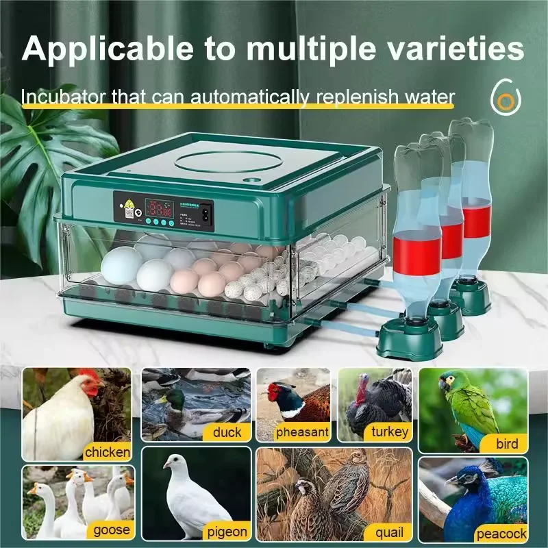 Seeiswork36 Eieren Incubator Met Lade Type Eierincubator Met Automatische Water Ionische Waterbed Aanvulling En Temperatuurregeling