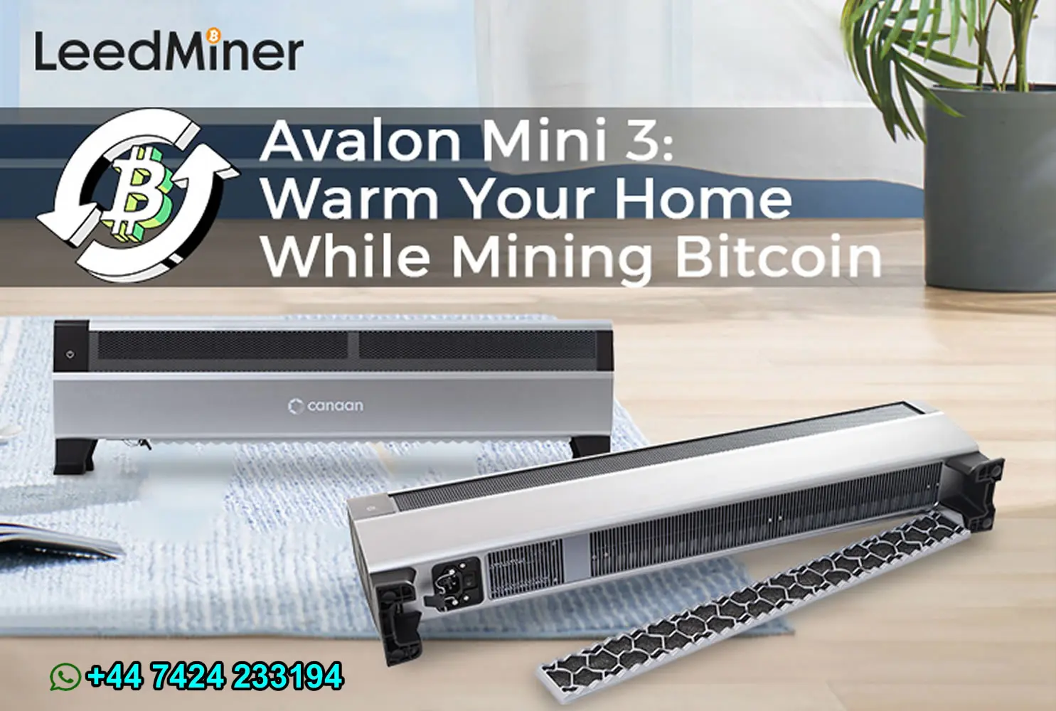 DC meistverkaufte Aktionsverkäufe! ✨ ✅   Canaan Avalon Mini 3 Bitcoin-Miner – Kaufen Sie 5 und erhalten Sie 3 gratis