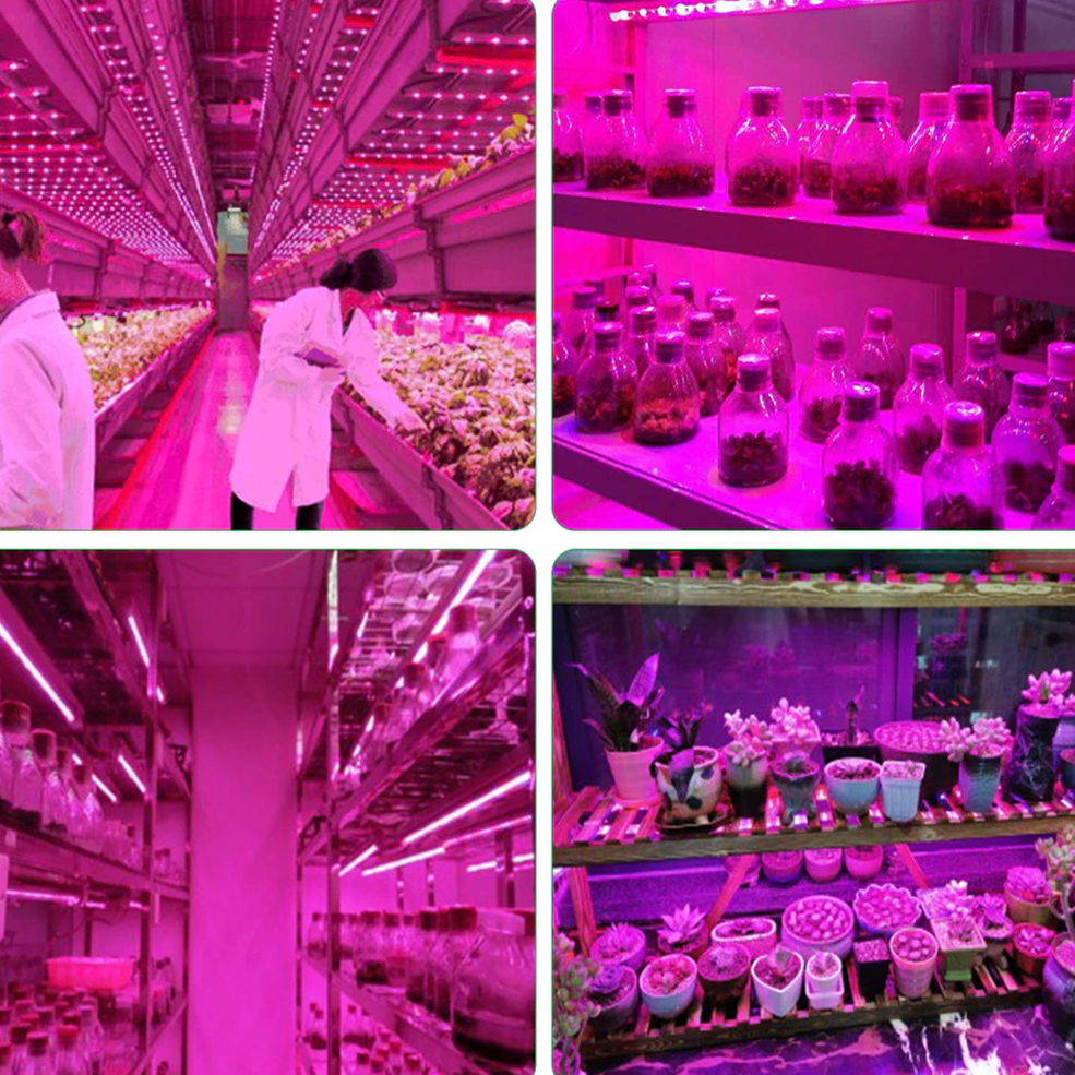 5V USB LED Plant Grow Light Spectrumเต็มPhytoโคมไฟ 1M 2M 3Mสําหรับเมล็ดดอกไม้เรือนกระจกเต็นท์พืชHydroponicแสง