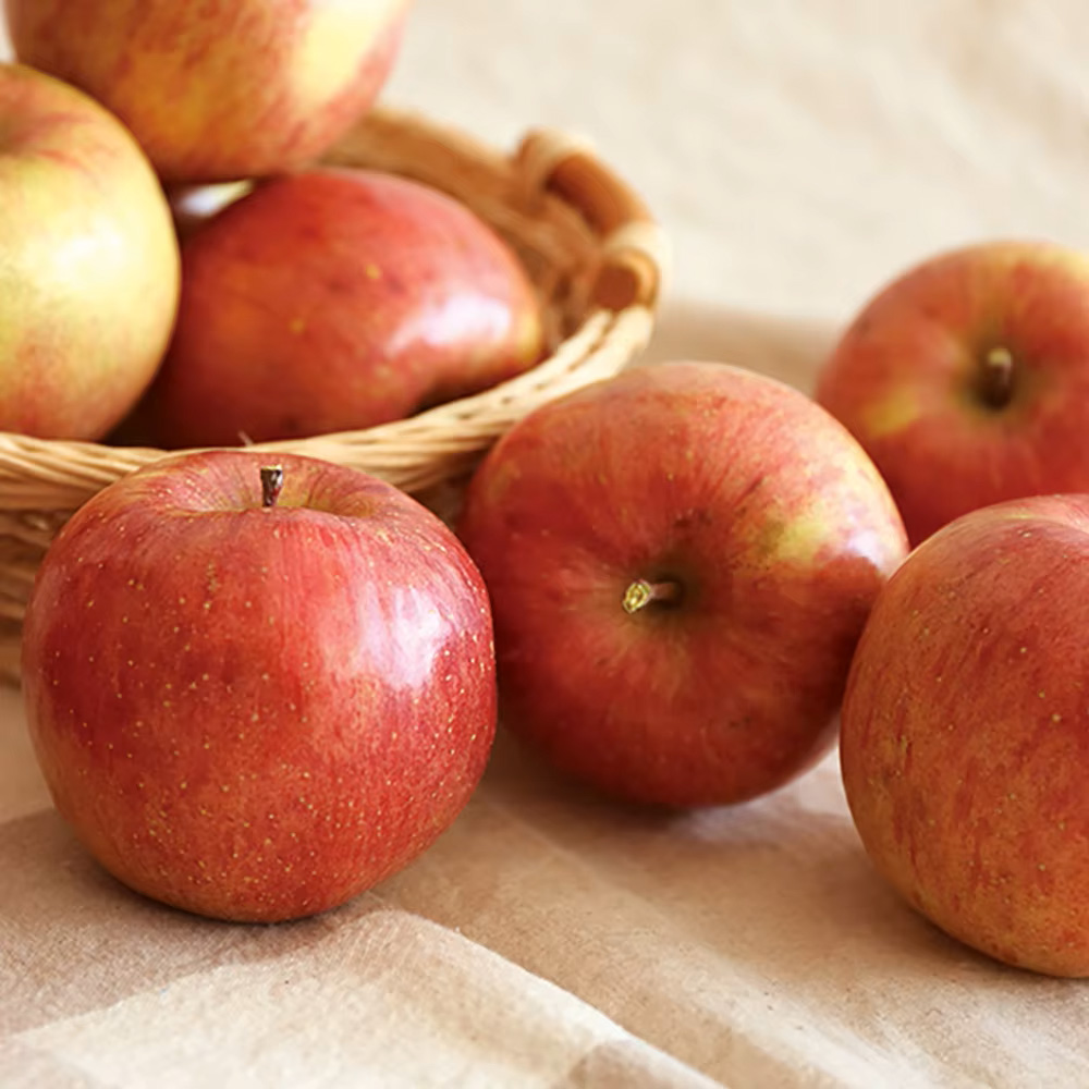 [품절로 배송이 불가합니다]-----------------[오늘담은] 경북 가정용사과 4kg 20-24과/소과