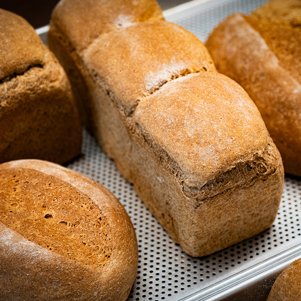 홀위트데이 100% 통밀빵 당일생산 식사대용 식빵 모닝빵