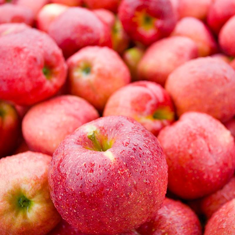 세척사과(가정용) 2kg 4kg 개별포장 아삭아삭 새콤달콤 경북 사과