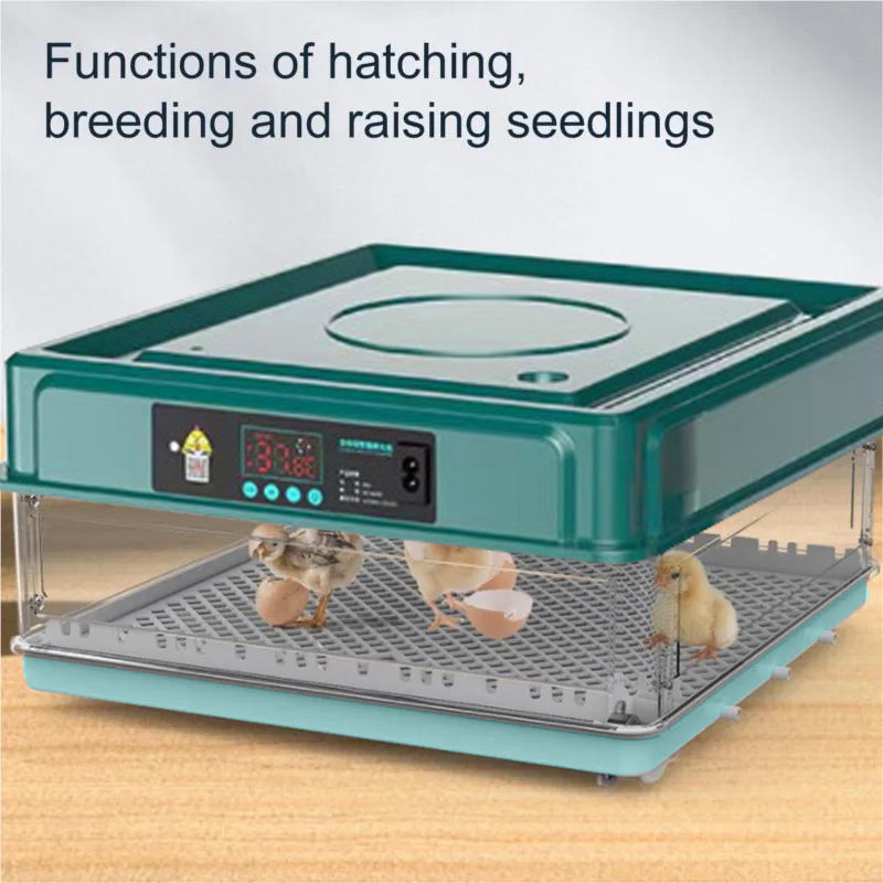 Seeiswork36 Eieren Incubator Met Lade Type Eierincubator Met Automatische Water Ionische Waterbed Aanvulling En Temperatuurregeling