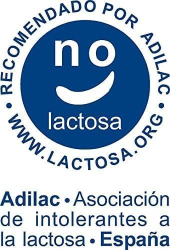 N / Tortas de Arándanos Sin Azúcar y Sin Lactosa 2kg - Saludable y Delicioso Sabor