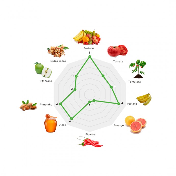 Aceite de Oliva Virgen Extra - Hojiblanca - Garrafa 5 Litros – Extracción en frío – Olivar Tradicional