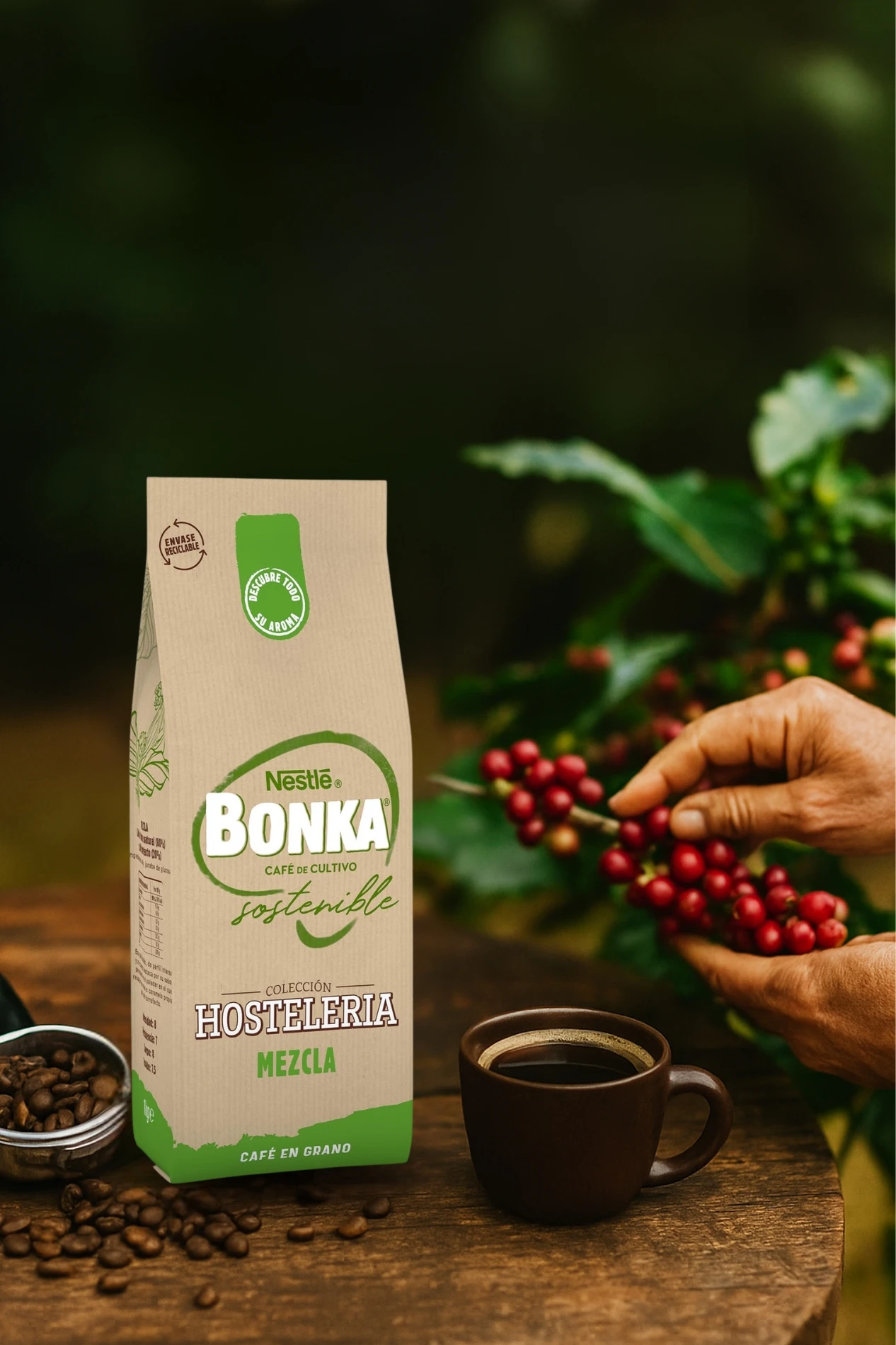 Grãos de café torrados Bonka para mix de hospitalidade-1kg |   Sabor autêntico em cada copo - Pacote de 3 peças