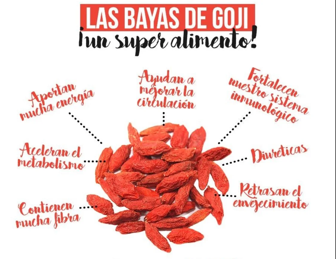 Goji Bayas 1kg Fs Frit Ravich