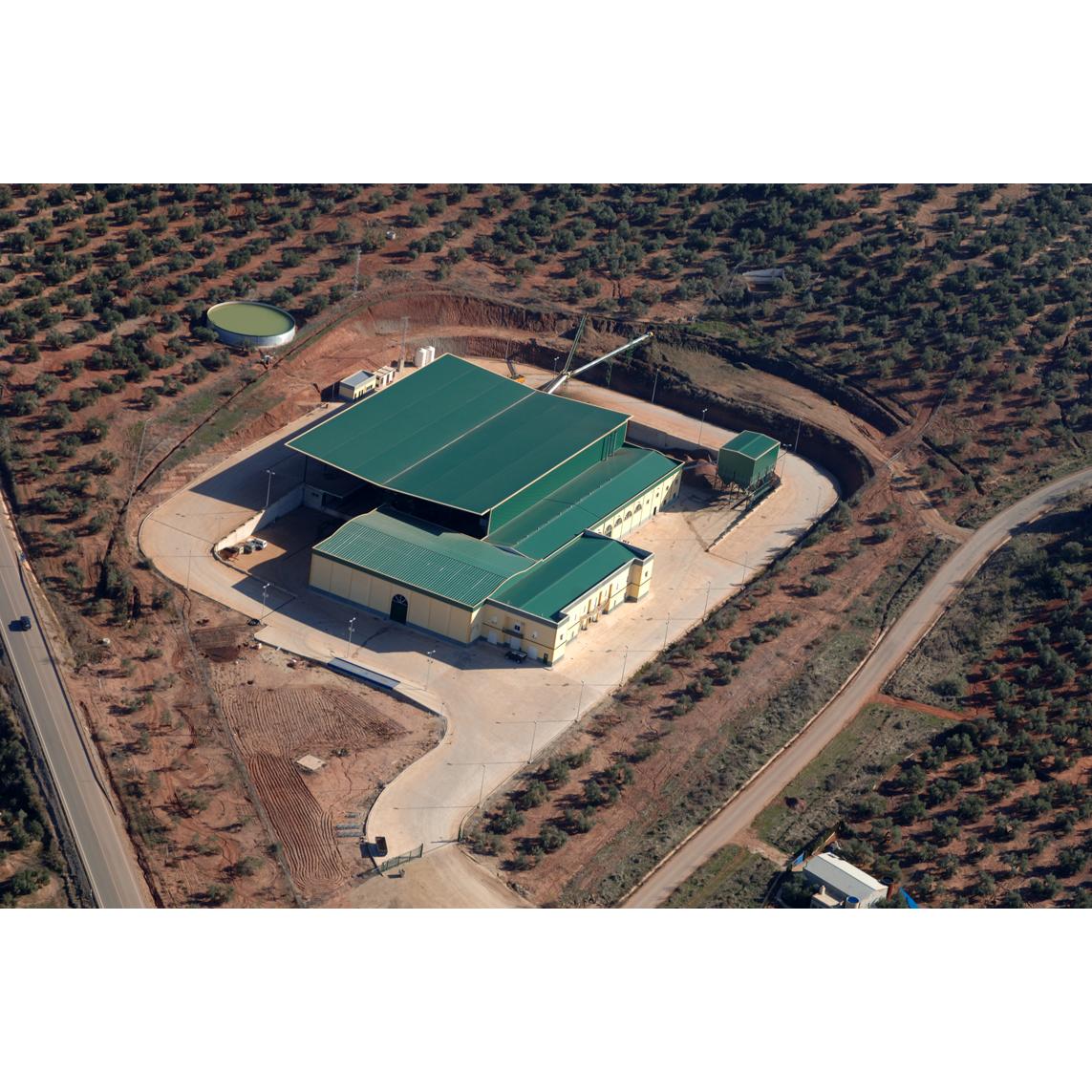 OLEOESTRELLA - Aceite Oliva Virgen Extra - Jaén - Andalucía - Aceite Cooperativa