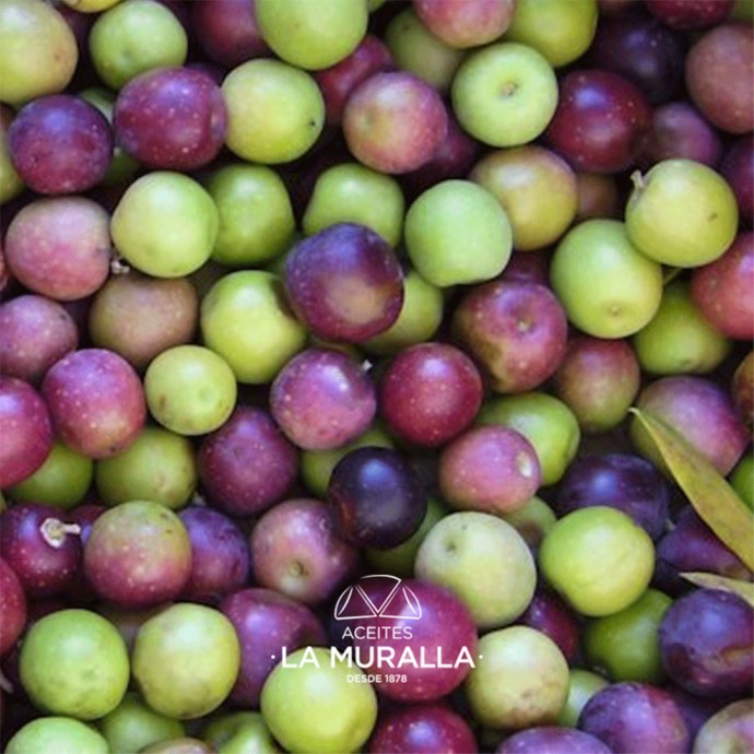 Aceite de Oliva Virgen Extra - Cortijo La Muralla - Recolección temprana (2 L.)