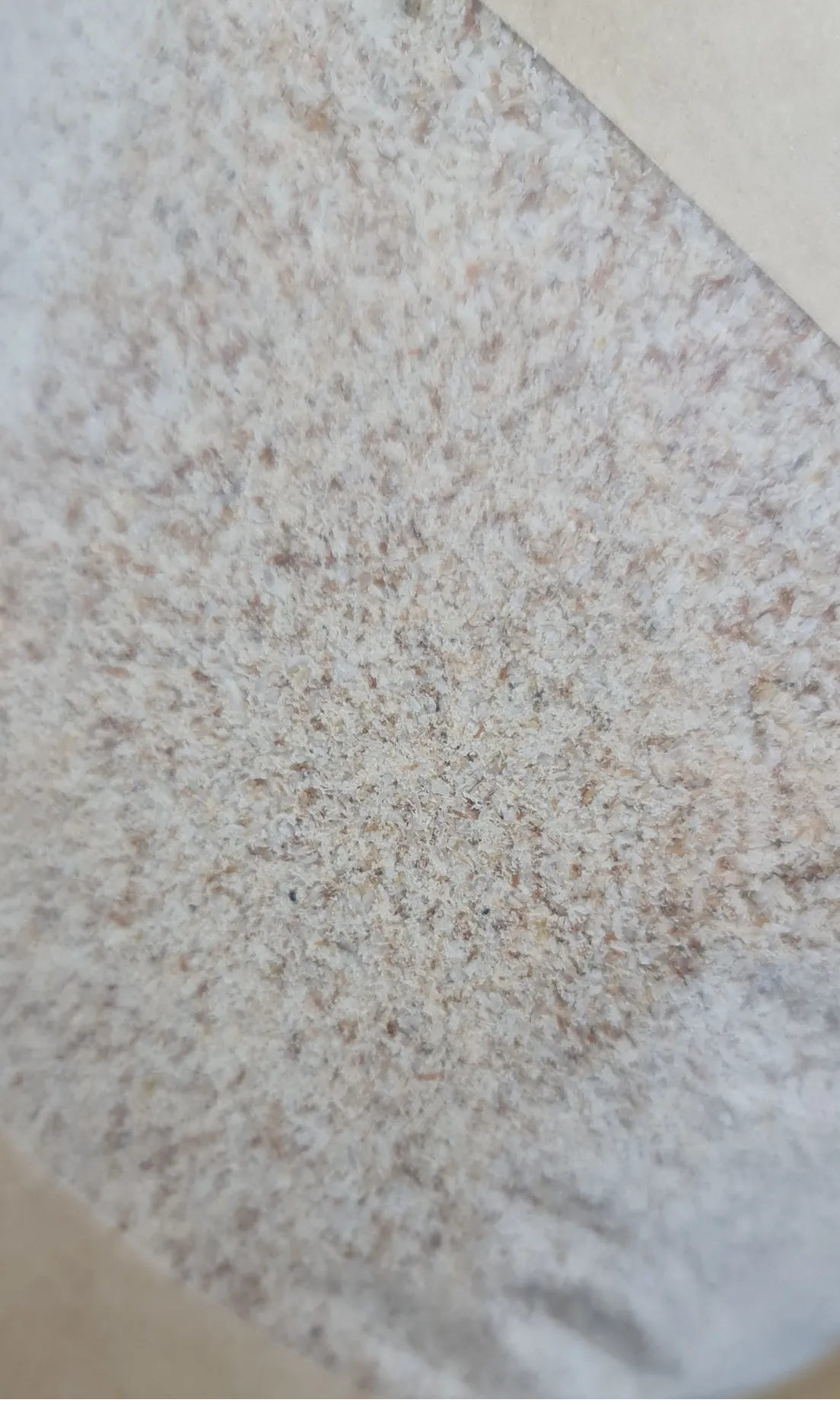 Psyllium Husk cáscara 1Kg – 100% natural - SIN GLUTEN – Biorganic - marca española.