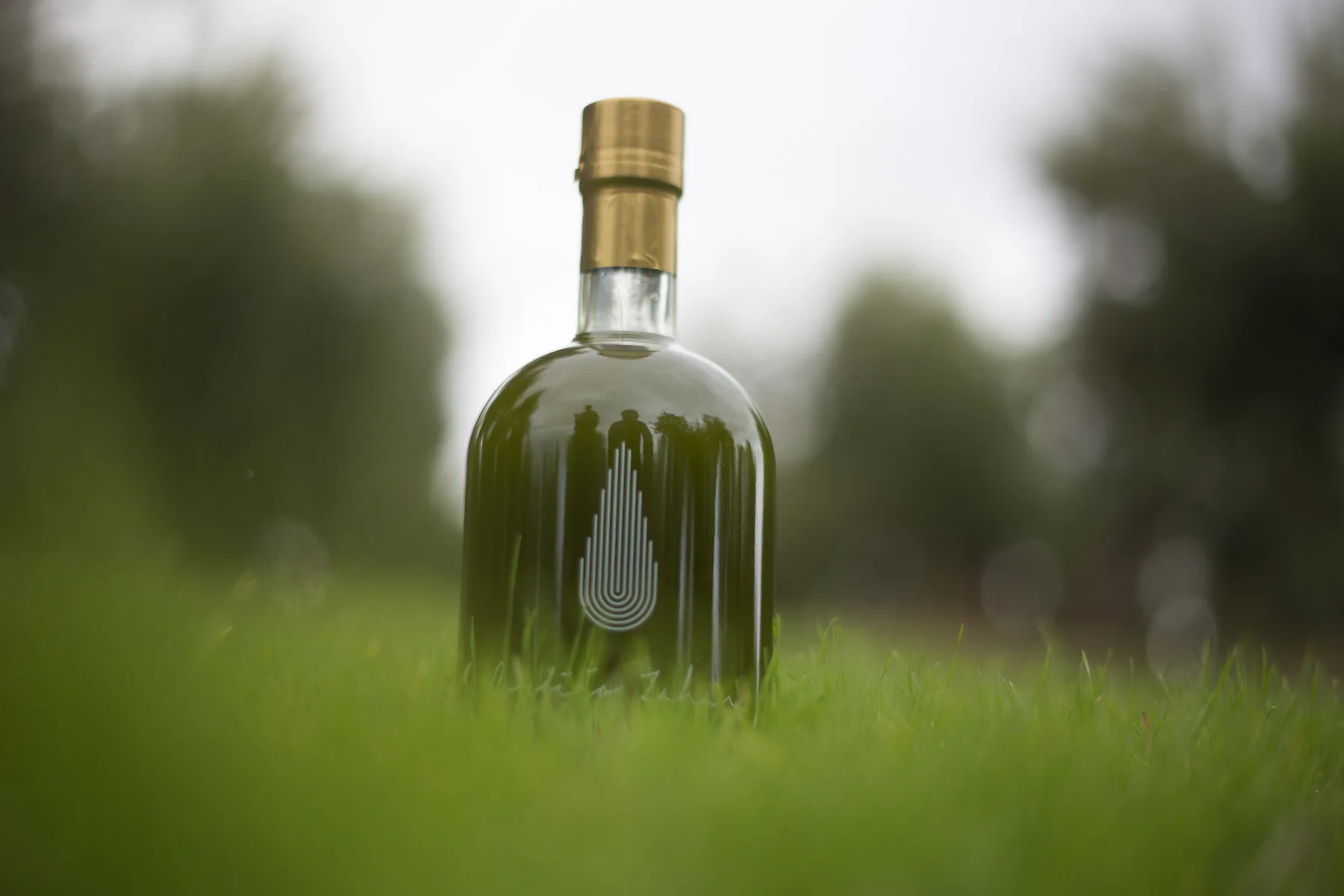 CORTIJO ZAHAN COSECHA TEMPRANA VARIEDAD PICUAL 500ML SIN FILTRAR