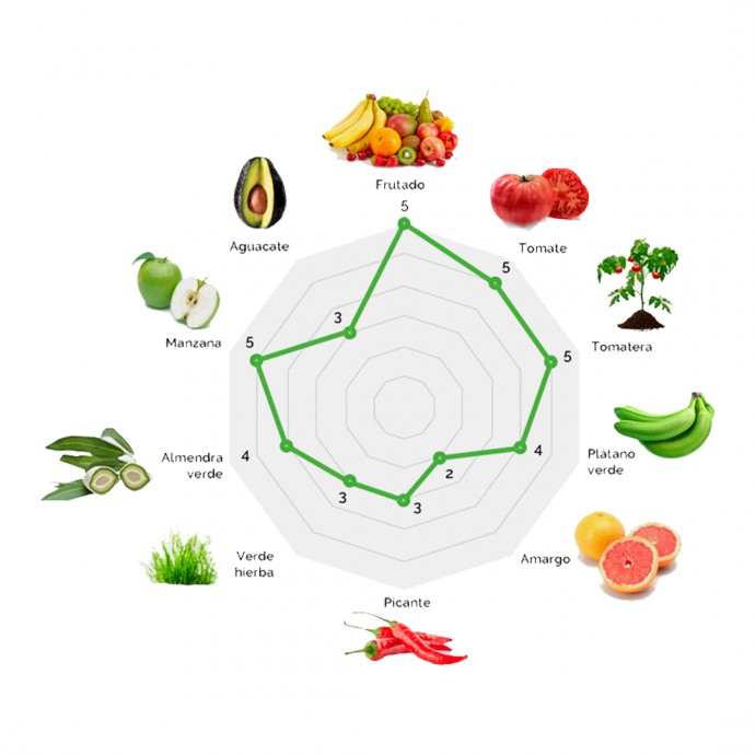 Aceite de Oliva Virgen Extra - Cortijo La Muralla - Recolección temprana (2 L.)
