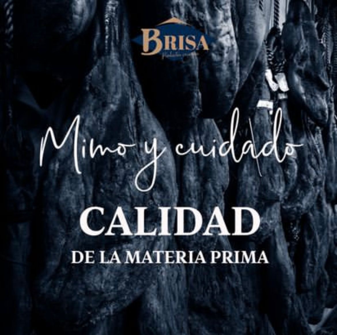 Chorizo Sarta Ibérico Extra - Ibéricos Brisa