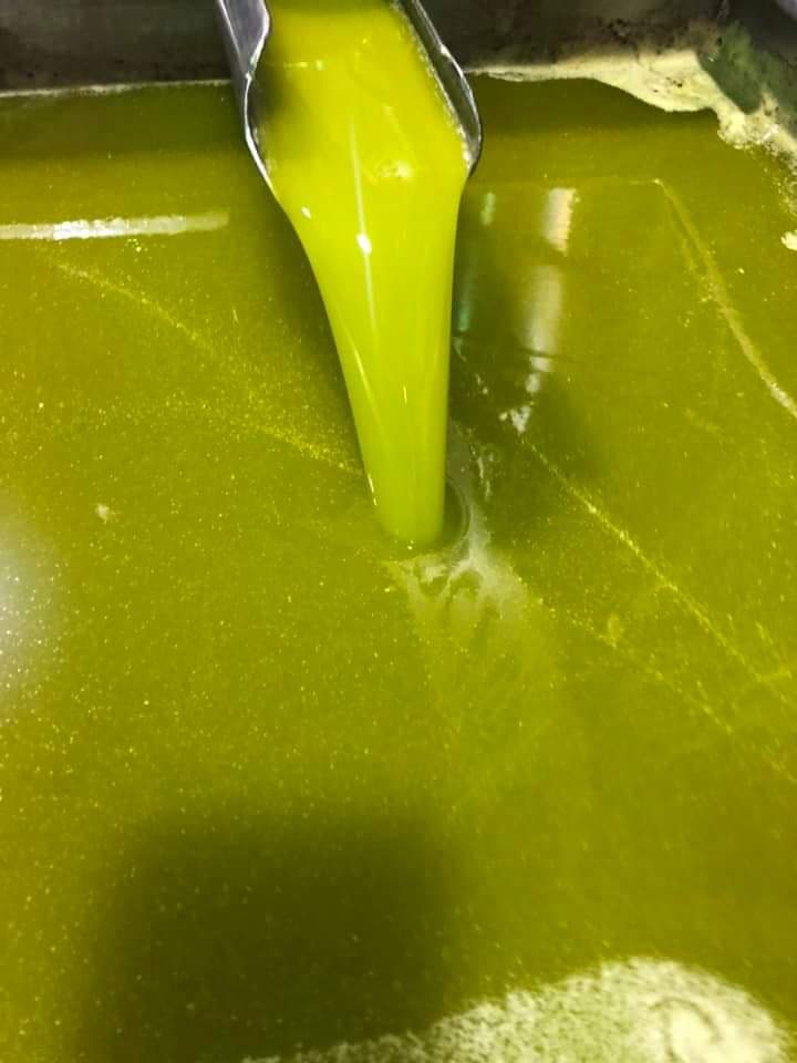 Fuenteoliva Aceite de Oliva Virgen Extra 5 Litros Nueva Campaña 2024-2025