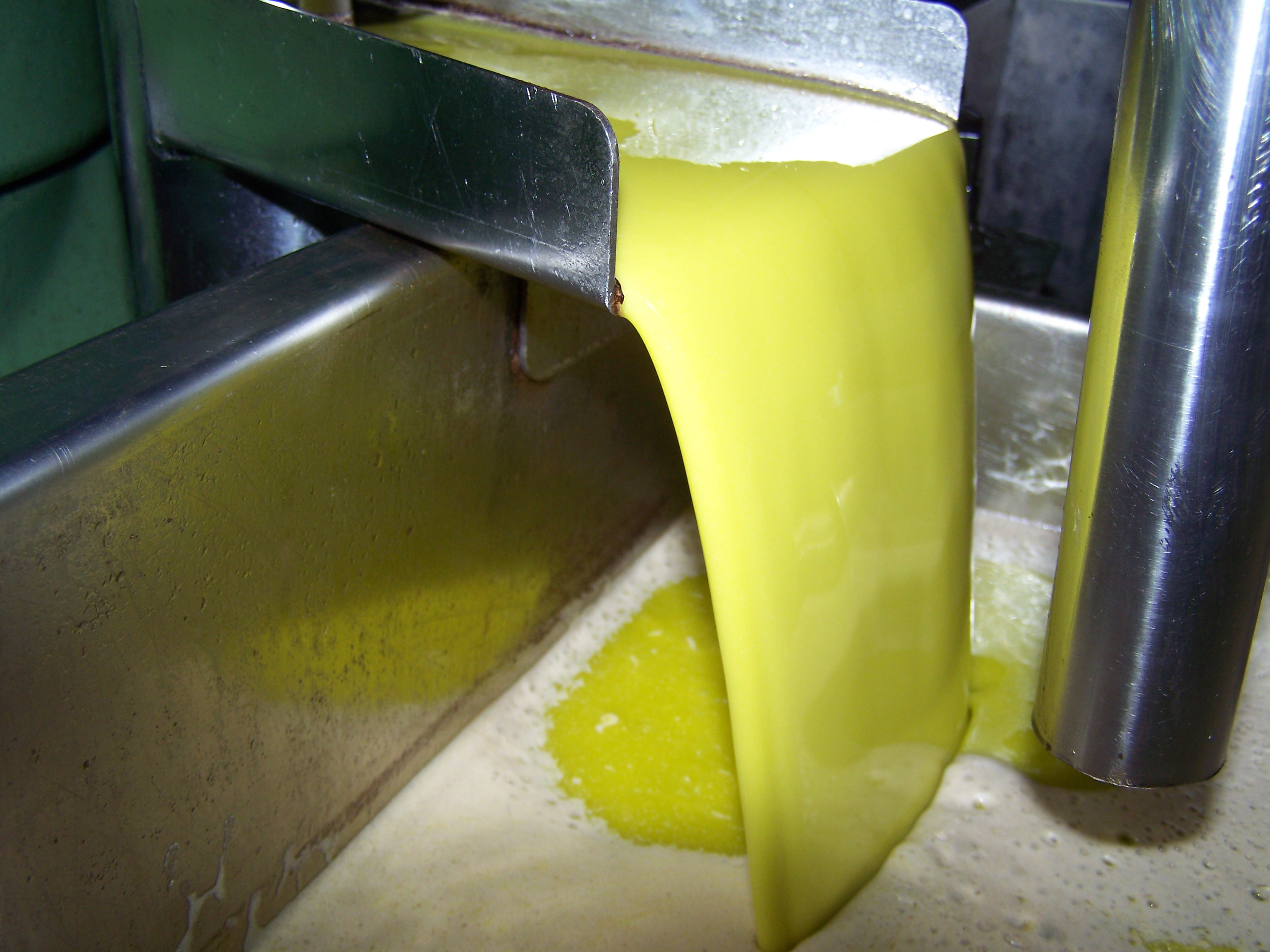 OLEOESTRELLA - Aceite Oliva Virgen Extra - Jaén - Andalucía - Aceite Cooperativa