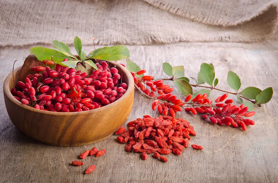 Goji Bayas 1kg Fs Frit Ravich