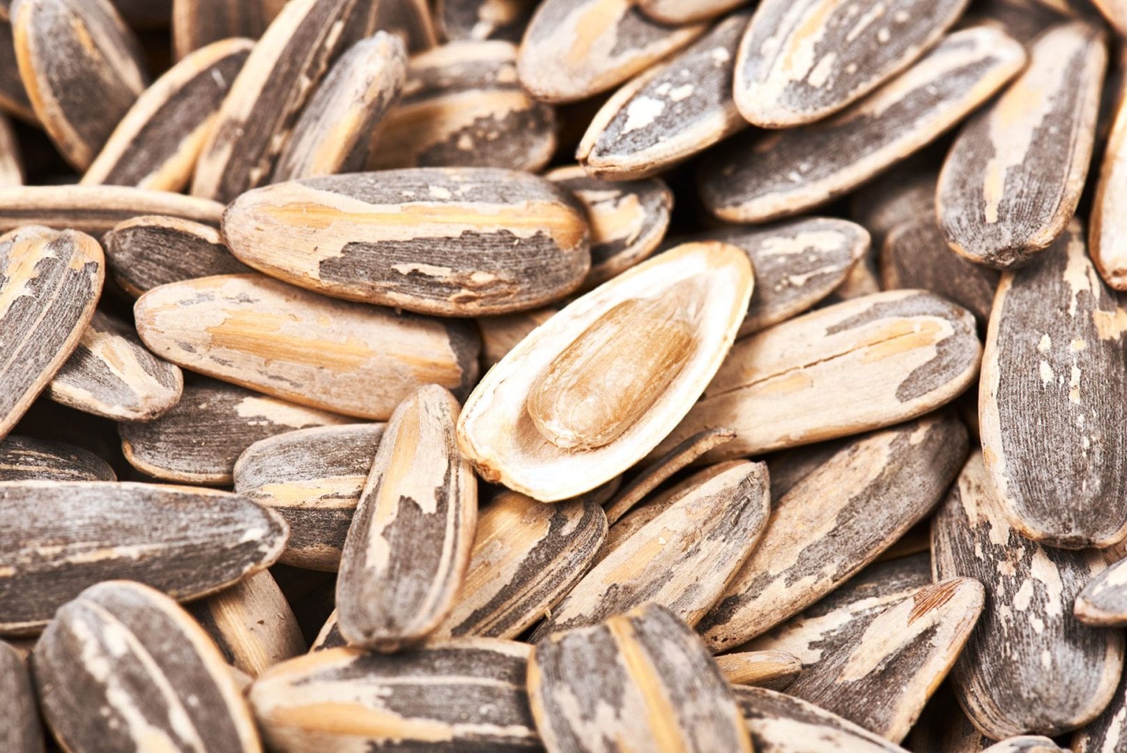 PIPAS REYES GIRASOL AGUASAL 130 GR