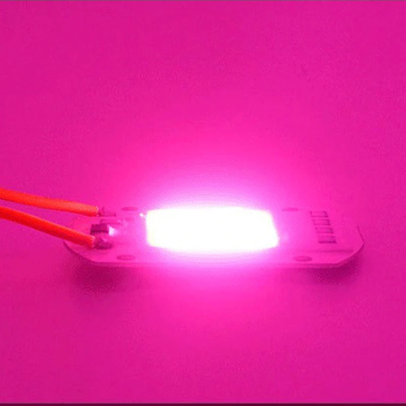 5szt LED Grow COB Chip Phyto Lamp Full Spectrum AC220V 10W 20W 30W 50W Do oświetlenia sadzonek roślin domowych i wzrostu kwiatów