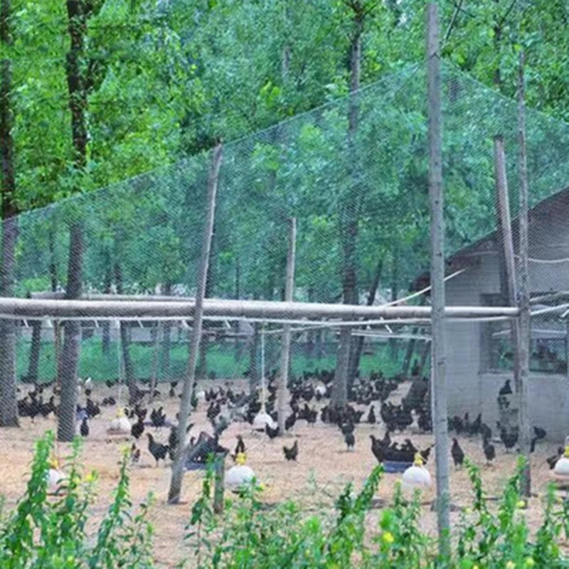 Heavy Anti Bird Netting Net Garden Fence and Crops Protective Fencing Mesh Anti Bird Deer Cat Dog Chicken Net  Fishing Net