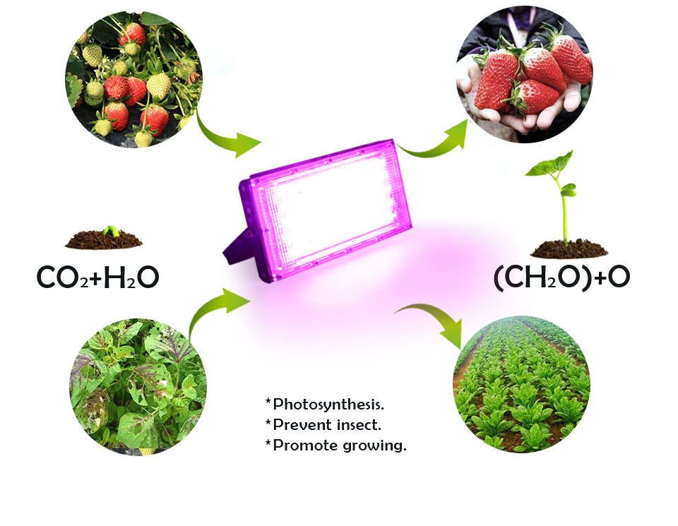 50W LED植物成長ランプ,花の照明用のフルスペクトル蛍光灯