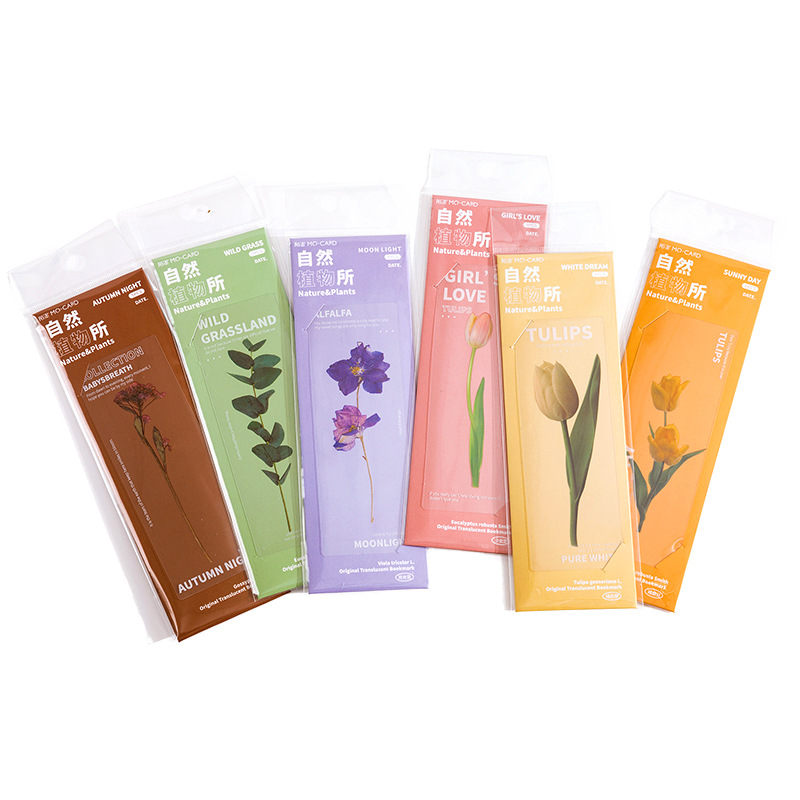 5 Cái/bộ Thực Vật Tự Nhiên Hoa Lá Series Bookmark PVC Đọc Đánh Dấu Sách Trang Sách Bút Văn Phòng Phẩm Cung Cấp Quà Tặng