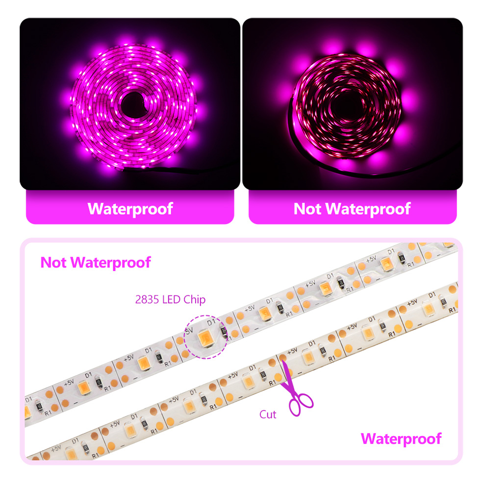 USB spectre complet LED élèvent la bande lumineuse 0.5m 1m 2m 3m 4m 5m 2835 DC5V LED Fitolampy élèvent des lumières pour les semis de fleurs de plantes d'intérieur