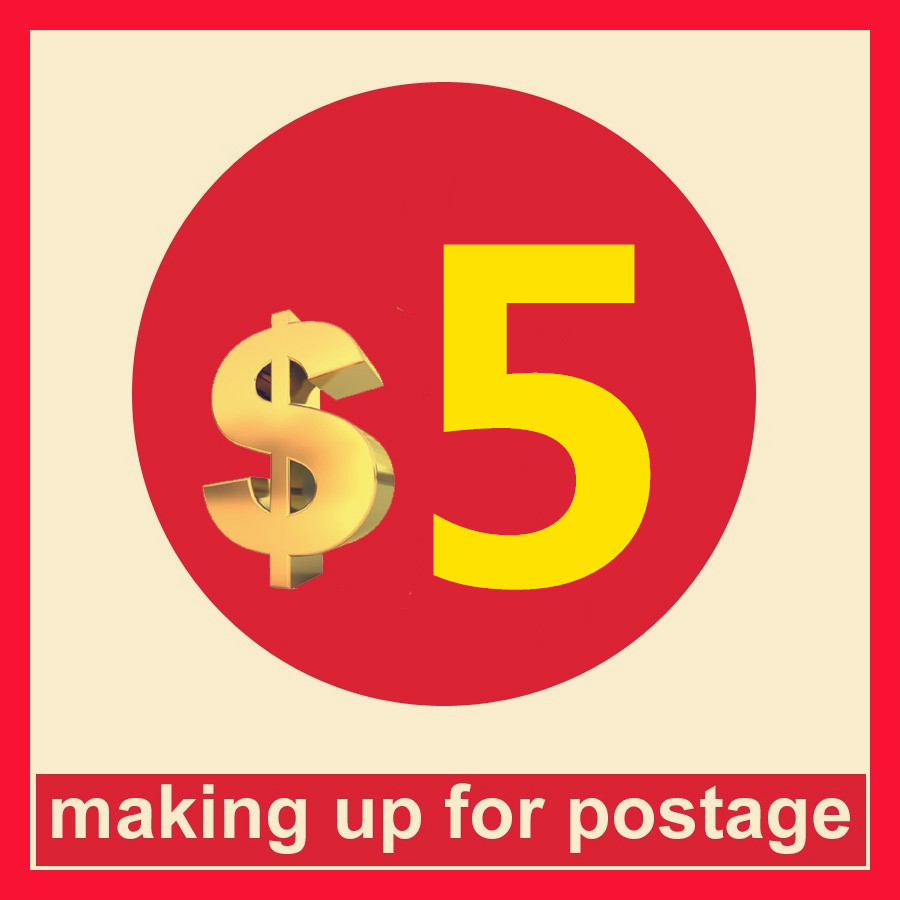 please do not pay for this link, it is only for pay the extra shipping cost we will not ship unless seller tell you pay for this