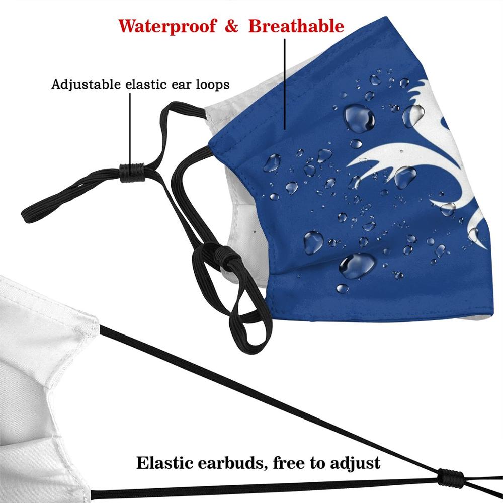 Маска для футбольной команды, 1893, крест, Драгон, Драгон