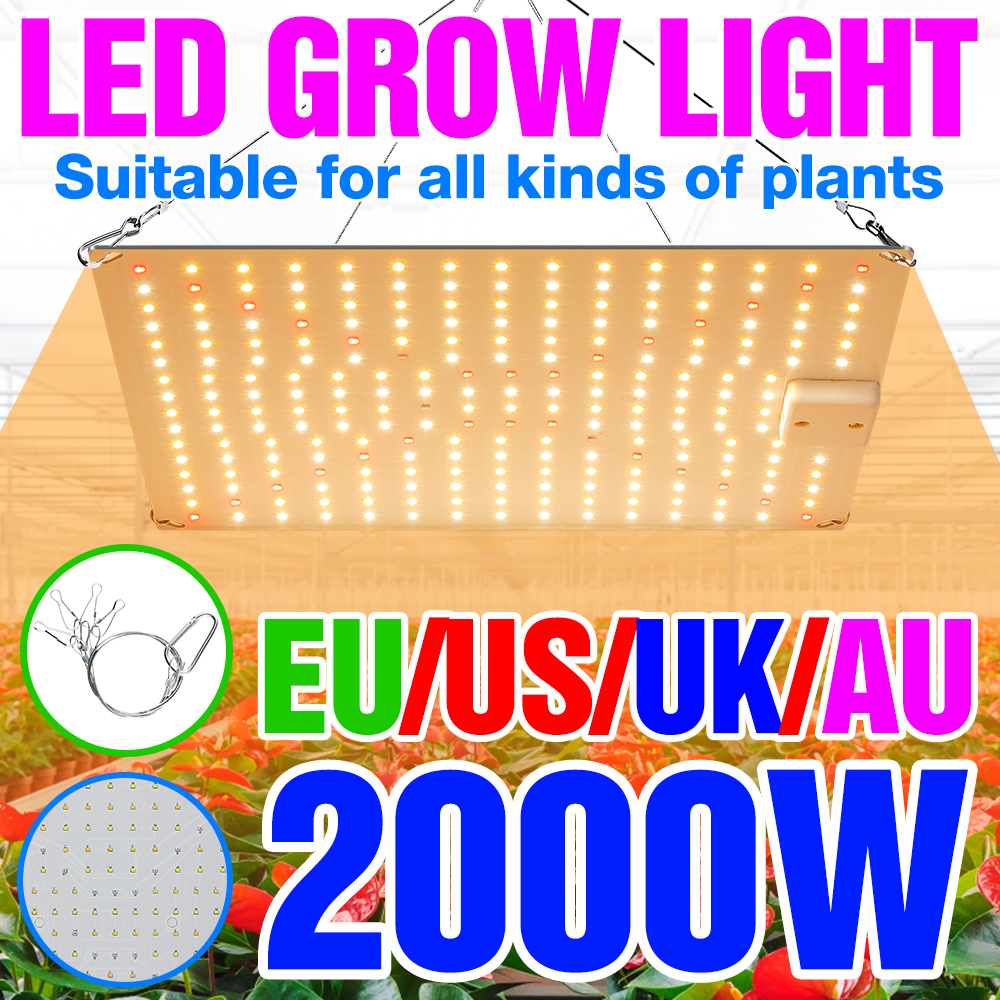 LED Wachsen Licht LED Phytolamp Volle Spektrum Lampe Pflanze Wachstum Hydrokultur Pflanzen Samen Blume Wachsen Box 1000W 2000W quantum Bord