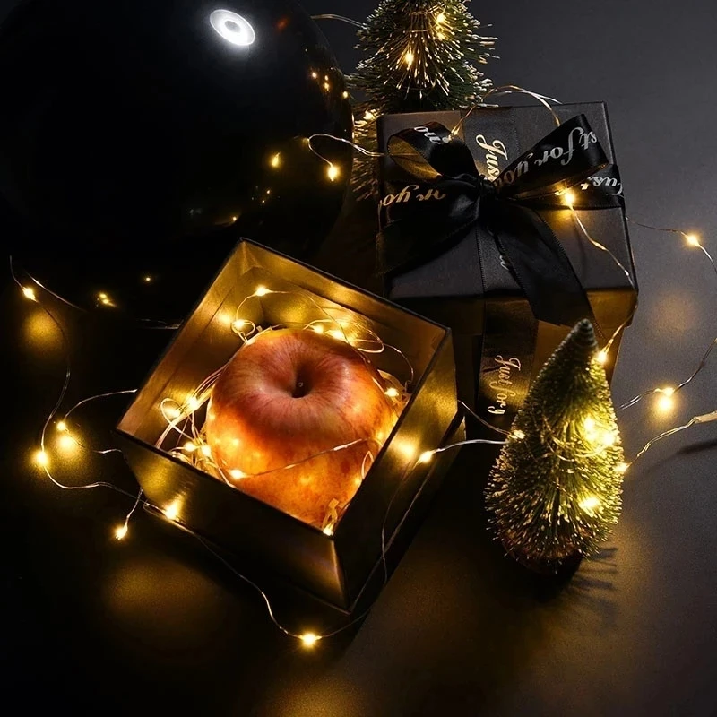 1M 2M 5M 10M USB Powered ไฟ LED String ลวดเงิน Fairy Garland ตกแต่งปีใหม่งานแต่งงานตกแต่งคริสต์มาสสําหรับ Home Room